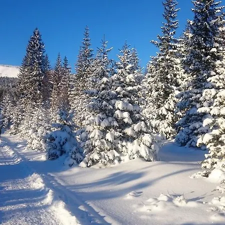 Izery * Szklarska Poręba